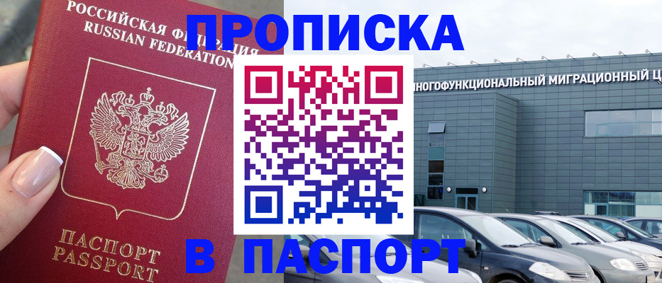 прописка для школы в Луге